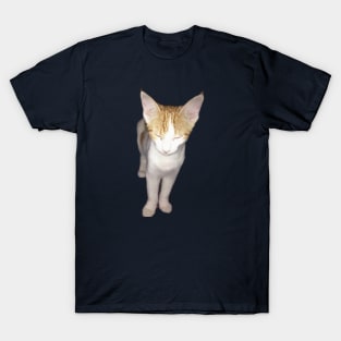 Kitty Zen Mode T-Shirt